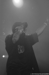 ice cube - 10.4.09 - fotografie 122 z 175